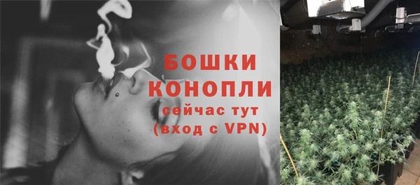 спайс Аркадак