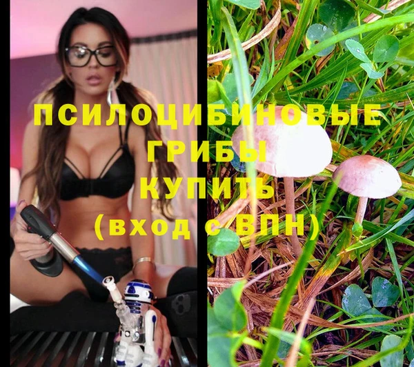 экстази Армянск