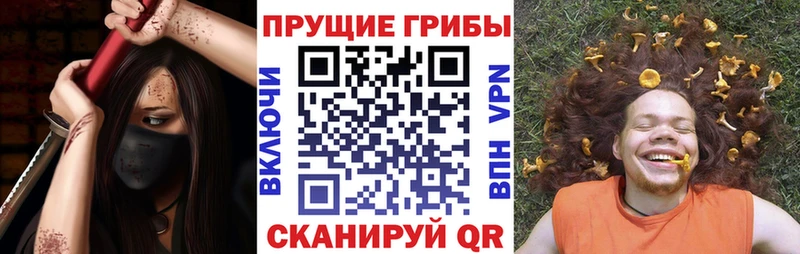 Псилоцибиновые грибы ЛСД  купить наркотик  Оха 