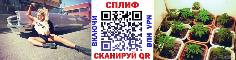 Каннабис THC 21%  Оха 